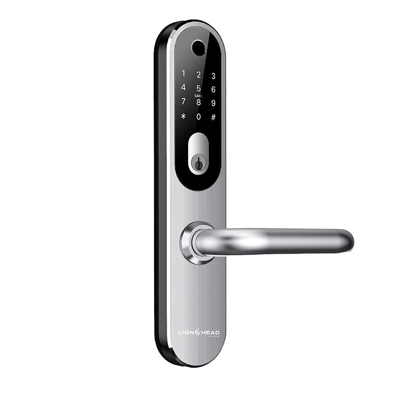 Lion Head Bondi Digital Mortice Lock