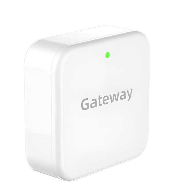 Lion Head TTLock Wifi Gateway
