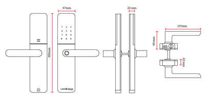 Lion Head Enmore Digital Entrance Lock