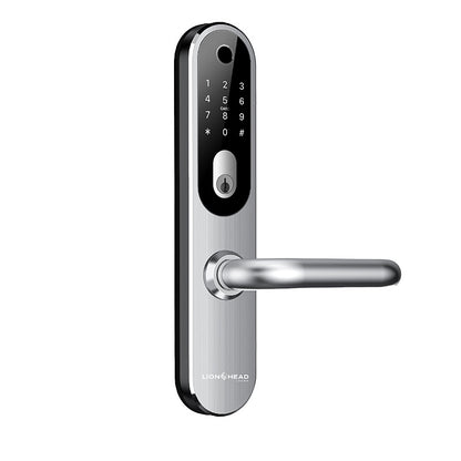 Lion Head Bondi Digital Mortice Lock