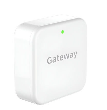 Lion Head TTLock Wifi Gateway